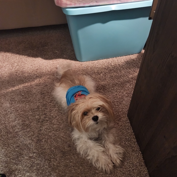 Meet your Posher, Heather - Picture 5 of 16